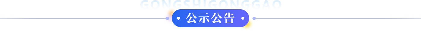 公示公告