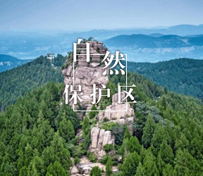自然保护区