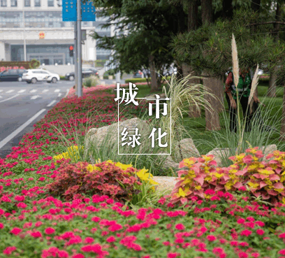 城市绿化