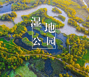 湿地公园