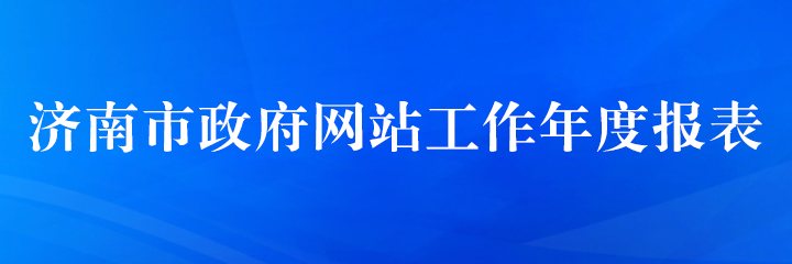 2025年PG电子政府网站工作年报