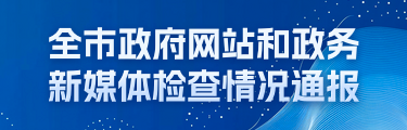 全市政府网站和游戏新媒体检查情况通报