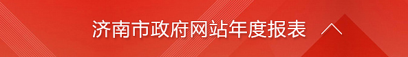 PG电子政府网站年度报表