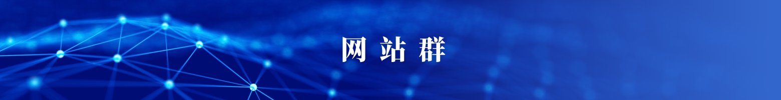 网站群